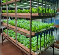 Iot u stakleničkoj poljoprivredi/Internet stvari/Inteligentni kontroler/Bežični Iot sistem/Sistem za praćenje tereta