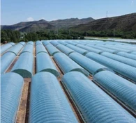 Plastenik od plastične folije za poljoprivredu s potpunom automatizacijom sa senzorima za kontrolu okoliša